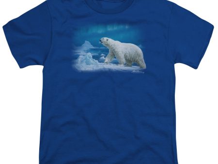 WILDLIFE : NOMAD OF THE NORTH S\S YOUTH Cotton 18\1 Royal Blue XS Discount