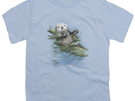 WILDLIFE : KELP CRADLE OTTERS S\S YOUTH Cotton 18\1 LIGHT BLUE LG Discount