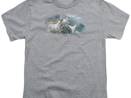 WILDLIFE : HIGH TRAILS DALL SHEEP S\S YOUTH Cotton 18\1 ATHLETIC HEATHER LG Cheap