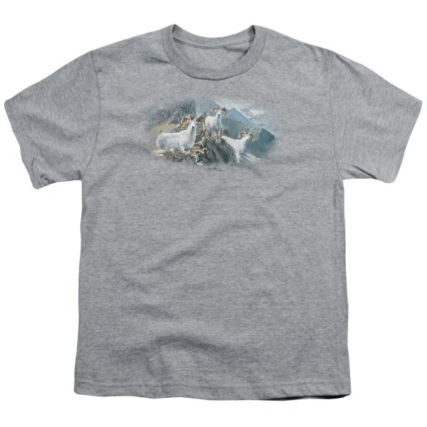 WILDLIFE : HIGH TRAILS DALL SHEEP S\S YOUTH Cotton 18\1 ATHLETIC HEATHER LG Cheap