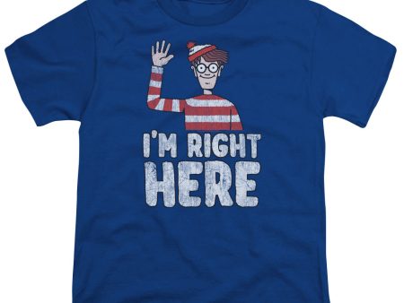 WHERE S WALDO : I M RIGHT HERE S\S YOUTH Cotton 18\1 Royal Blue XL Cheap