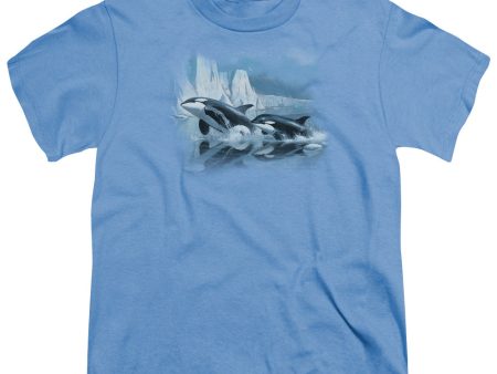 WILDLIFE : GLACIER S EDGE ORCAS S\S YOUTH Cotton 18\1 CAROLINA BLUE XL Online Sale