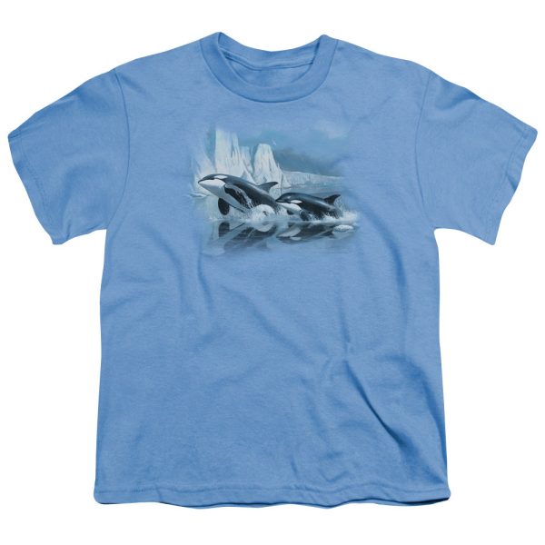 WILDLIFE : GLACIER S EDGE ORCAS S\S YOUTH Cotton 18\1 CAROLINA BLUE XL Online Sale