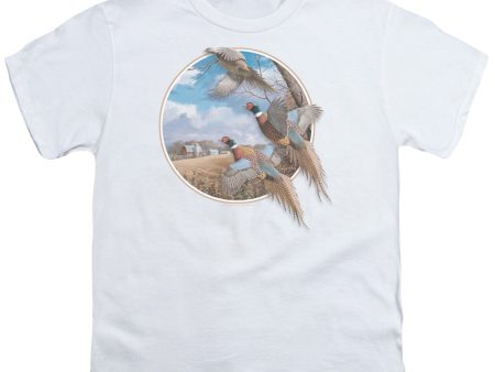 WILDLIFE : OCTOBER MEMORIES PHEASANTS S\S YOUTH Cotton 18\1 WHITE SM Cheap