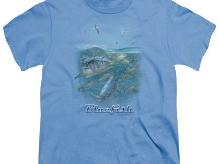 WILDLIFE : BLUE MAYHEM S\S YOUTH Cotton 18\1 CAROLINA BLUE MD Cheap