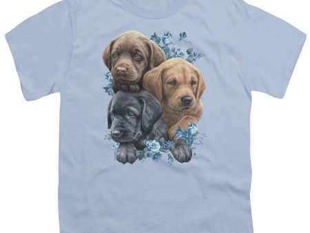 WILD WINGS : PUPPY PILE S\S YOUTH Cotton 18\1 Light Blue XL Hot on Sale