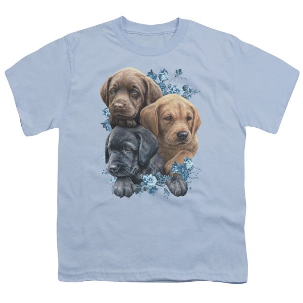 WILD WINGS : PUPPY PILE S\S YOUTH Cotton 18\1 Light Blue XL Hot on Sale