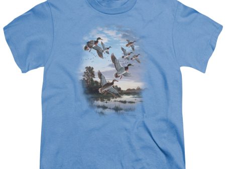 WILDLIFE : EVENING FLIGHT MALLARDS S\S YOUTH Cotton 18\1 CAROLINA BLUE XL Discount