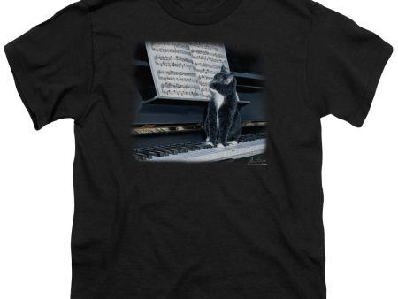 WILDLIFE : KITTEN ON THE KEYS S\S YOUTH Cotton 18\1 Black SM Hot on Sale