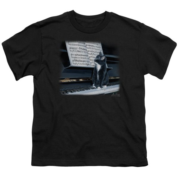 WILDLIFE : KITTEN ON THE KEYS S\S YOUTH Cotton 18\1 Black SM Hot on Sale