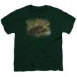 WILDLIFE : CRISP FALL MORNING S\S YOUTH Cotton 18\1 HUNTER GREEN MD For Discount