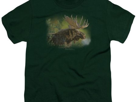 WILDLIFE : CRISP FALL MORNING S\S YOUTH Cotton 18\1 HUNTER GREEN MD For Discount