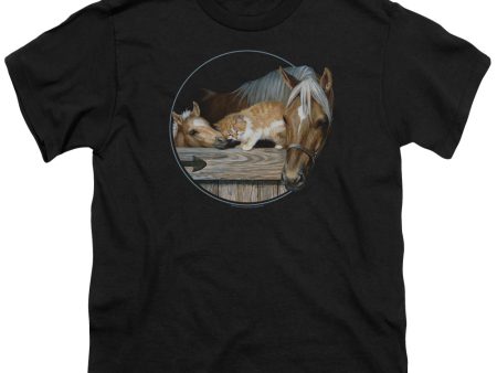 WILD WINGS : EVERYONE LOVES KITTY S\S YOUTH Cotton 18\1 Black XL Online Sale