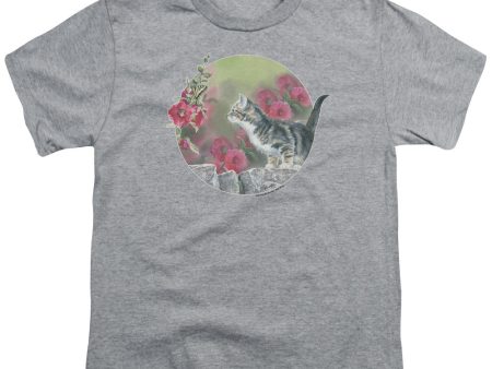 WILD WINGS : KITTEN FLOWERS S\S YOUTH Cotton 18\1 Athletic Heather LG For Sale