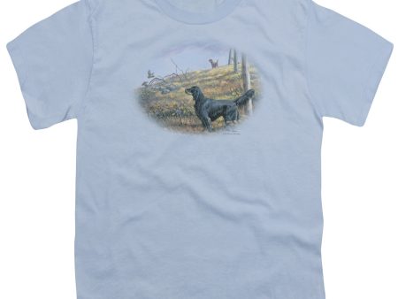 WILDLIFE : LOOKING BACK S\S YOUTH Cotton 18\1 Light Blue MD For Sale