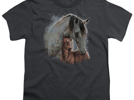 WILD WINGS : PAINTED HORSES S\S YOUTH Cotton 18\1 Charcoal SM Online now