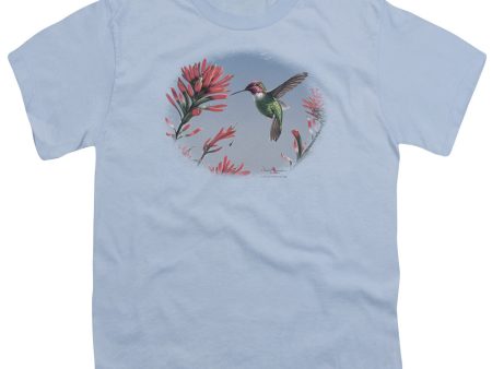 WILDLIFE : ANNA S HUMMINGBIRD S\S YOUTH Cotton 18\1 LIGHT BLUE XL Hot on Sale