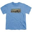 WILDLIFE : THE PASSING HERD S\S YOUTH Cotton 18\1 CAROLINA BLUE XL Online Hot Sale