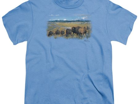 WILDLIFE : THE PASSING HERD S\S YOUTH Cotton 18\1 CAROLINA BLUE XL Online Hot Sale