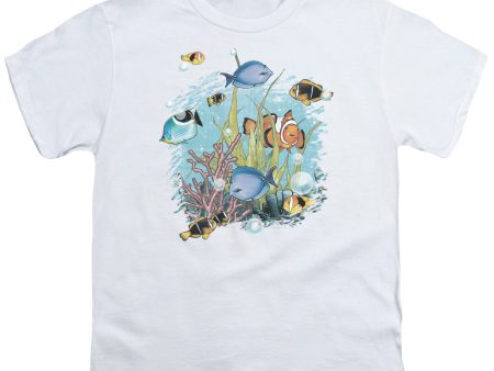 WILDLIFE : TROPICAL FISH S\S YOUTH Cotton 18\1 White LG For Sale