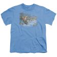 WILDLIFE : WINTER RED FOX S\S YOUTH Cotton 18\1 CAROLINA BLUE SM Discount