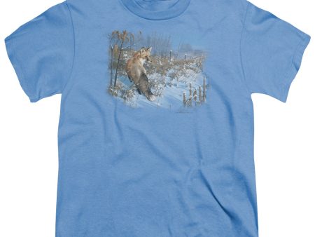 WILDLIFE : WINTER RED FOX S\S YOUTH Cotton 18\1 CAROLINA BLUE SM Discount