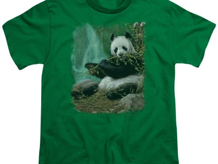 WILDLIFE : CITIZEN OF HEAVEN ON EARTH S\S YOUTH Cotton 18\1 Kelly Green XL Online now