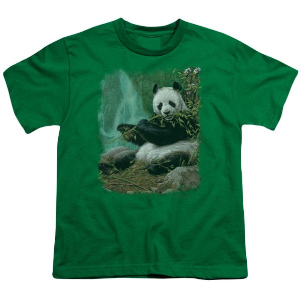 WILDLIFE : CITIZEN OF HEAVEN ON EARTH S\S YOUTH Cotton 18\1 Kelly Green XL Online now