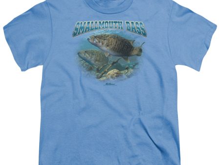 WILDLIFE : GANGING UP S\S YOUTH Cotton 18\1 CAROLINA BLUE MD Hot on Sale