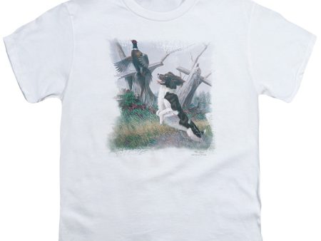 WILDLIFE : SPRINGER WITH PHEASANT S\S YOUTH Cotton 18\1 White MD Online Sale