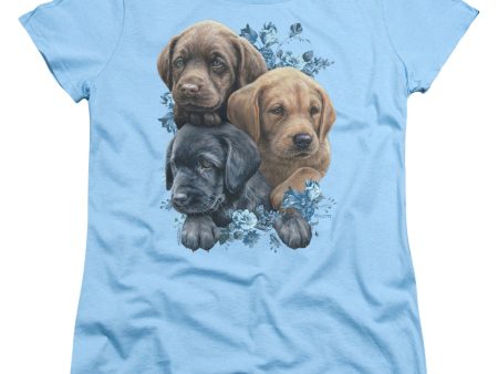 WILD WINGS : PUPPY PILE WOMENS SHORT SLEEVE Light Blue MD For Discount