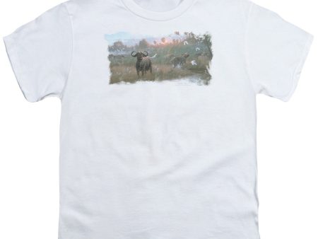 WILDLIFE : CAPE BUFFALO S\S YOUTH Cotton 18\1 WHITE XL For Discount