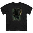 WILDLIFE : BLACK BEARS S\S YOUTH Cotton 18\1 BLACK XL Cheap