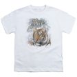 WILDLIFE : TIGERS S\S YOUTH Cotton 18\1 White XL on Sale