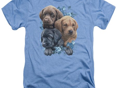 WILD WINGS : PUPPY PILE ADULT HEATHER Light Blue SM For Sale