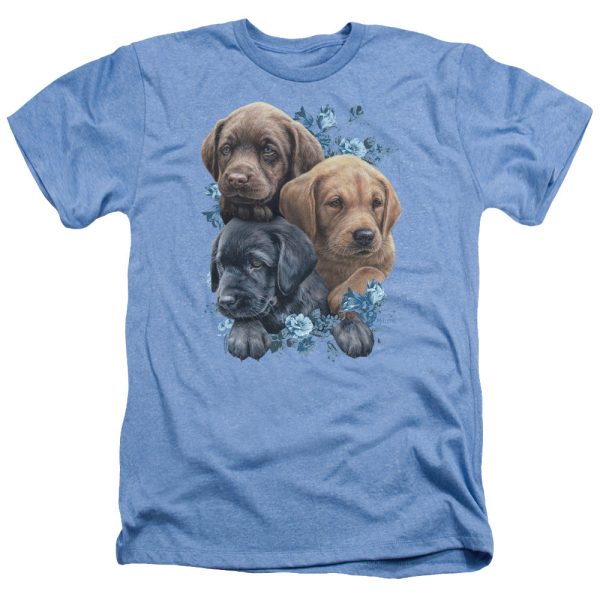 WILD WINGS : PUPPY PILE ADULT HEATHER Light Blue SM For Sale