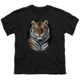 WILDLIFE : JUNGLE FIRE S\S YOUTH Cotton 18\1 Black MD For Cheap