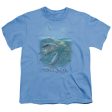 WILDLIFE : BLUE MAYHEM S\S YOUTH Cotton 18\1 CAROLINA BLUE SM Discount