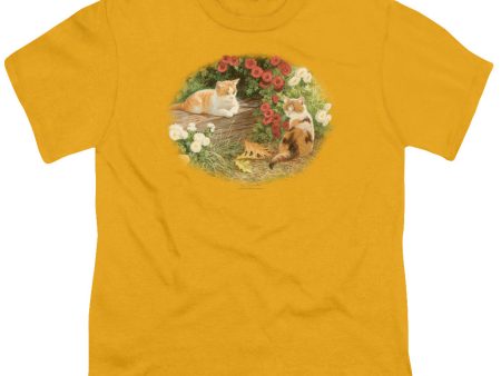 WILDLIFE : KITTENS AND MUMS S\S YOUTH Cotton 18\1 Gold XL Online Hot Sale