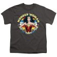 WONDER WOMAN 84 : WOMAN OF WONDER S\S YOUTH Cotton 18\1 Charcoal LG Sale