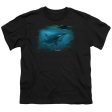 WILDLIFE : PURSUIT THRU THE KELP ORCA S\S YOUTH Cotton 18\1 BLACK XL Fashion