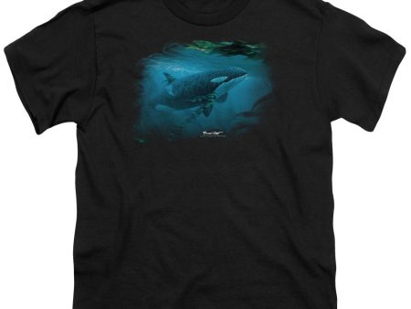 WILDLIFE : PURSUIT THRU THE KELP ORCA S\S YOUTH Cotton 18\1 BLACK XL Fashion