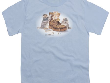 WILDLIFE : PLAYFUL KITTENS S\S YOUTH Cotton 18\1 Light Blue SM Online