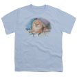 WILDLIFE : POMERANIAN PORTRAIT S\S YOUTH Cotton 18\1 Light Blue LG Supply