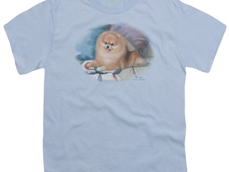 WILDLIFE : POMERANIAN PORTRAIT S\S YOUTH Cotton 18\1 Light Blue LG Supply