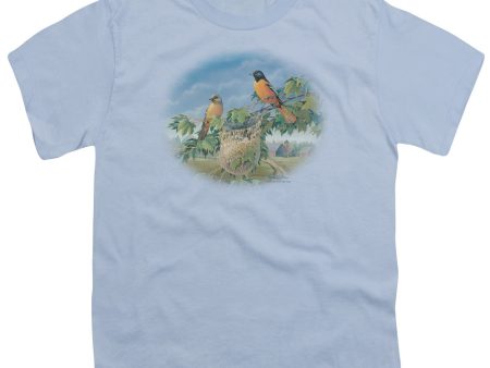 WILDLIFE : ORIOLES AND FARM S\S YOUTH Cotton 18\1 LIGHT BLUE MD on Sale