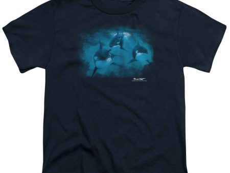 WILDLIFE : POD OF ORCAS S\S YOUTH Cotton 18\1 Navy XS on Sale