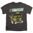 TEENAGE MUTANT NINJA TURTLES : TMNT VAN S\S YOUTH Cotton 18\1 Charcoal XL For Cheap