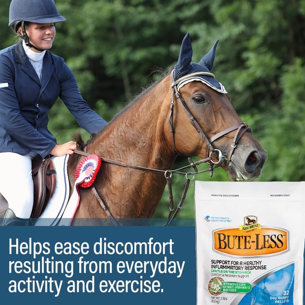 Absorbine Bute-Less® Comfort & Recovery Support Pellets For Cheap